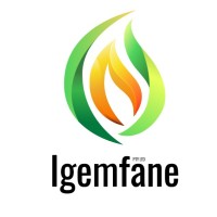 Igemfane Pty Ltd logo, Igemfane Pty Ltd contact details