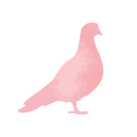 The Pink Pigeon logo, The Pink Pigeon contact details