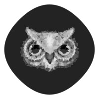 Owl Perception logo, Owl Perception contact details