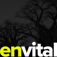 Envital - Social and Environmental Consulting logo, Envital - Social and Environmental Consulting contact details