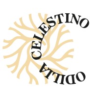 Odilia Celestino Independent Psychometrist logo, Odilia Celestino Independent Psychometrist contact details