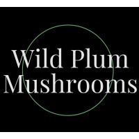 Wild Plum Mushrooms logo, Wild Plum Mushrooms contact details