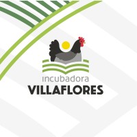 Incubadora Villlaflores Grupo Pecuario. logo, Incubadora Villlaflores Grupo Pecuario. contact details