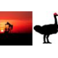 The Ostrich Oil & Gas logo, The Ostrich Oil & Gas contact details