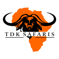 TDK Safaris logo, TDK Safaris contact details