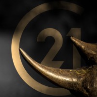 Century 21 Bushveld logo, Century 21 Bushveld contact details