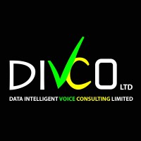 Data Intelligent Voice Consulting Ltd logo, Data Intelligent Voice Consulting Ltd contact details