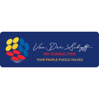 VAN DER SCHYFF CONSULTING logo, VAN DER SCHYFF CONSULTING contact details