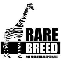 Rare Breed Investments logo, Rare Breed Investments contact details