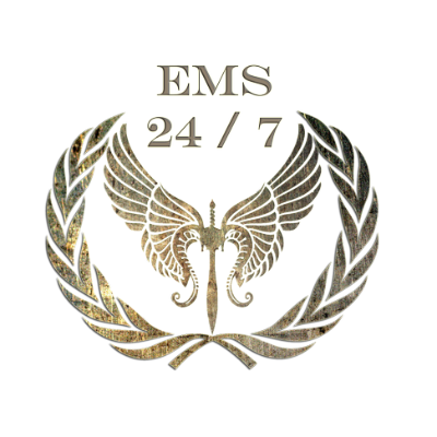 EMS 247 Global South Africa logo, EMS 247 Global South Africa contact details