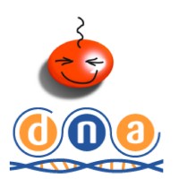 DNA Accountants logo, DNA Accountants contact details