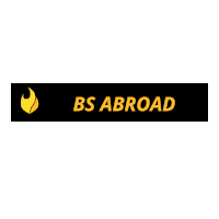 BS ABROAD LOGISTICS logo, BS ABROAD LOGISTICS contact details