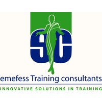 emefess Training consultants CC logo, emefess Training consultants CC contact details