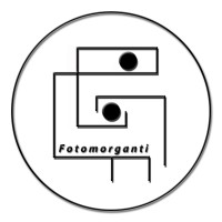 Fotomorganti logo, Fotomorganti contact details