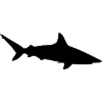 Shark Cage Diving Durban logo, Shark Cage Diving Durban contact details