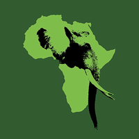 The Safari Index logo, The Safari Index contact details