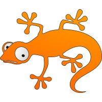 Golden Gecko logo, Golden Gecko contact details