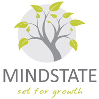 MINDSTATE - Set For Growth logo, MINDSTATE - Set For Growth contact details