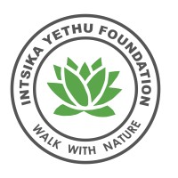 iNtsika Yethu Foundation logo, iNtsika Yethu Foundation contact details