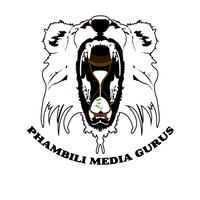 Phambili Media Gurus logo, Phambili Media Gurus contact details