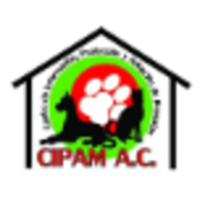 CIPAM,A.C. logo, CIPAM,A.C. contact details