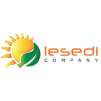 LESEDI CONSORTIUM COMPANY logo, LESEDI CONSORTIUM COMPANY contact details