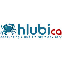 Hlubi Chartered Accountants logo, Hlubi Chartered Accountants contact details