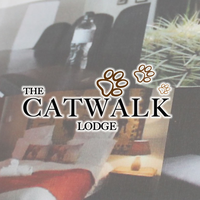 The Catwalk Lodge logo, The Catwalk Lodge contact details