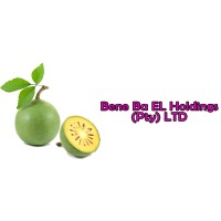 Bene Ba EL Holdings logo, Bene Ba EL Holdings contact details