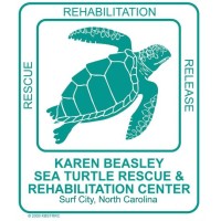 KAREN BEASLEY SEA TURTLE RESCUE AND REHABILITATION CENTER logo, KAREN BEASLEY SEA TURTLE RESCUE AND REHABILITATION CENTER contact details