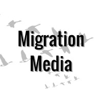 Migration Media, LLC logo, Migration Media, LLC contact details