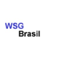 W.S Brasil Com. e Assistência Técnica Ltda logo, W.S Brasil Com. e Assistência Técnica Ltda contact details