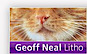 Geoff Neal Litho Limited logo, Geoff Neal Litho Limited contact details