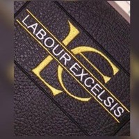 LABOUR EXCELSIS (PTY) LTD logo, LABOUR EXCELSIS (PTY) LTD contact details