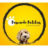 Paseando Patitas logo, Paseando Patitas contact details