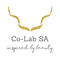 Co-Lab SA logo, Co-Lab SA contact details