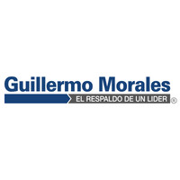 Automotriz Guillermo Morales Ltda logo, Automotriz Guillermo Morales Ltda contact details