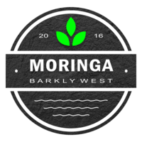 Moringa Barkly West logo, Moringa Barkly West contact details