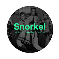 Snorkel Agency logo, Snorkel Agency contact details