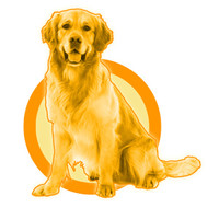 Good Boy Marketing logo, Good Boy Marketing contact details