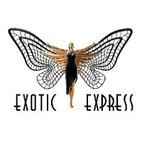 Exotic Express logo, Exotic Express contact details