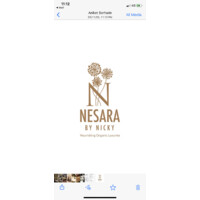 NESARA by Nicky logo, NESARA by Nicky contact details