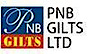 PNB GILTS LTD logo, PNB GILTS LTD contact details