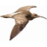 Whimbrel Software logo, Whimbrel Software contact details