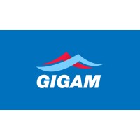 Gigam Group Mexico (Worldwide solutions) logo, Gigam Group Mexico (Worldwide solutions) contact details