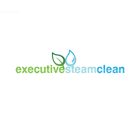 Executive Steam Clean logo, Executive Steam Clean contact details