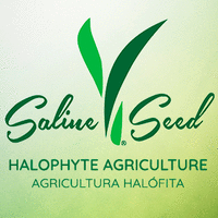 Saline Seed S.P.R de R.L. logo, Saline Seed S.P.R de R.L. contact details