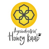 AGROINDUSTRIA HONEY KAAB SPR de RL logo, AGROINDUSTRIA HONEY KAAB SPR de RL contact details