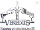 VEREDUS srl logo, VEREDUS srl contact details