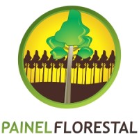 Painel Florestal logo, Painel Florestal contact details